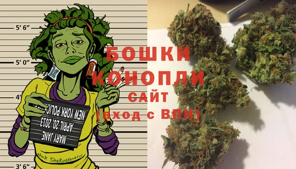 PSILOCYBIN Абаза