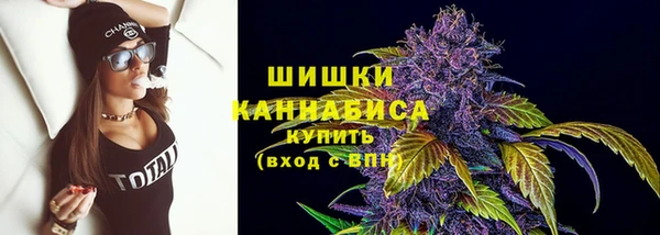 PSILOCYBIN Абаза
