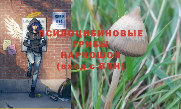 PSILOCYBIN Абаза