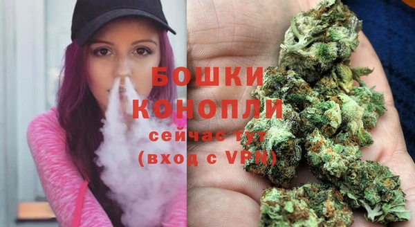 PSILOCYBIN Абаза