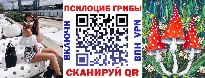 мориарти Telegram  Новосибирск  Псилоцибиновые грибы мицелий 